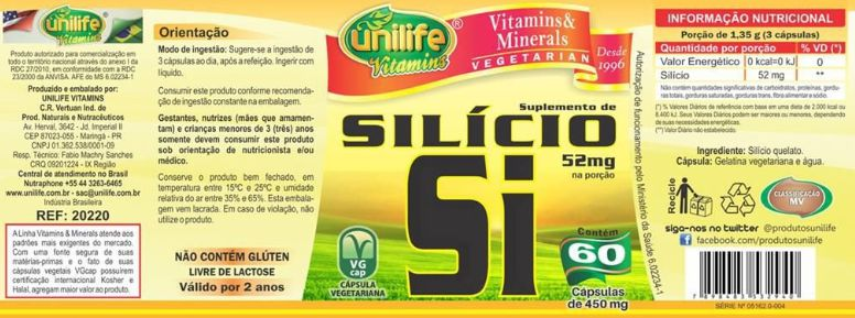 SILICIO01