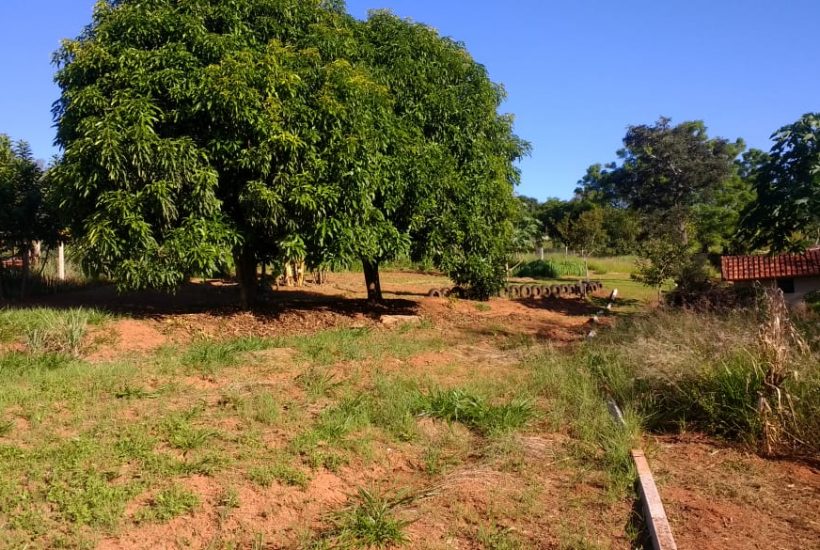 Terrenos em Pardinho 7