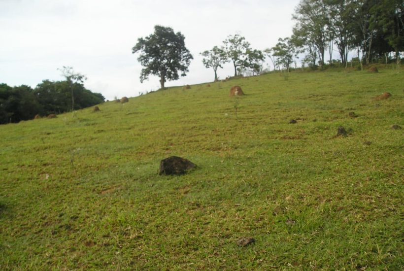 monte sião 4