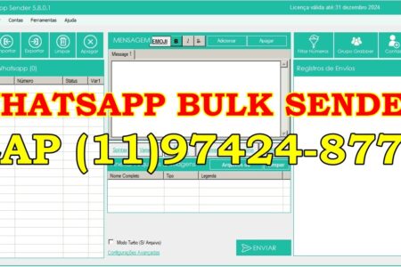 BULK5.8 WHATSAPP BULK SENDER 55