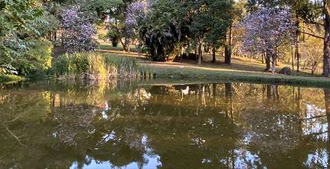 Sítio em BAIRRO ROSA MENDES - Pinhalzinho25x