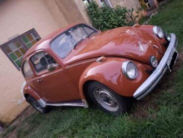 fusca2