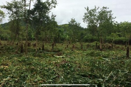 Sítio no Jardim Mambu, em Itanhaém