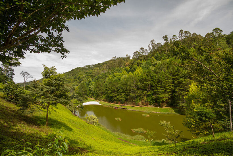 IMÓVEL DE ALTO PADRÃO NA SERRA DA MANTIQUEIRA COM 3.200 M² DE ÁREA ÚTIL E 150.000 M² DE TERRENO 040