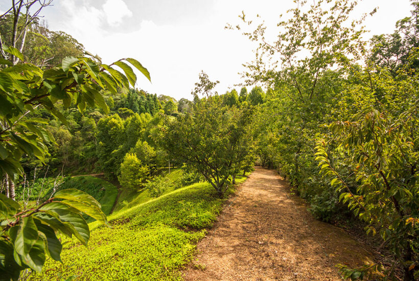 IMÓVEL DE ALTO PADRÃO NA SERRA DA MANTIQUEIRA COM 3.200 M² DE ÁREA ÚTIL E 150.000 M² DE TERRENO 041