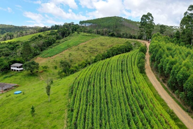 FAZENDA FAZENDA COM 110 HA EM IBIUNA, INTERIOR DE SÃO PAULO 0013