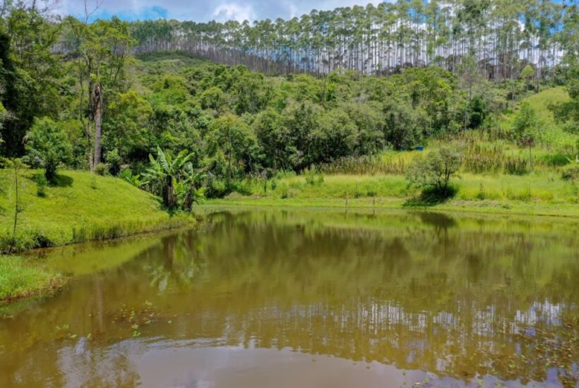 FAZENDA FAZENDA COM 110 HA EM IBIUNA, INTERIOR DE SÃO PAULO 0018