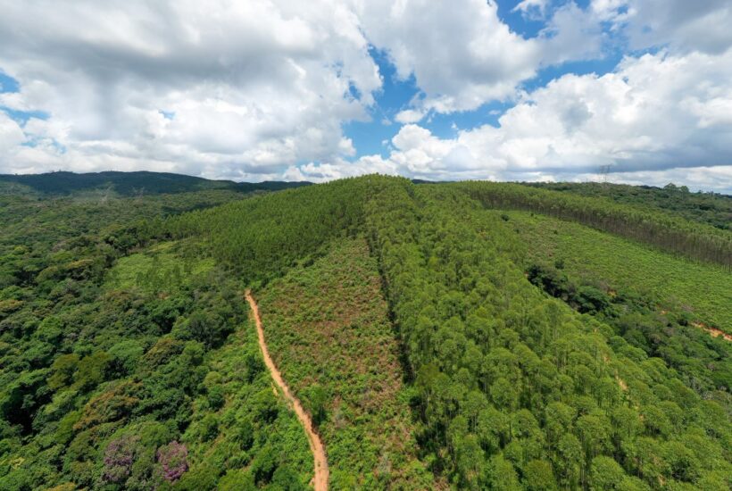 FAZENDA FAZENDA COM 110 HA EM IBIUNA, INTERIOR DE SÃO PAULO 0020