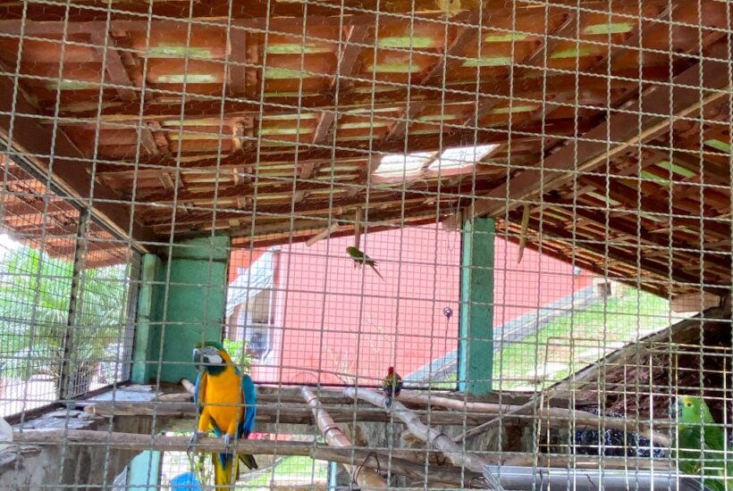 FAZENDA FAZENDA COM 110 HA EM IBIUNA, INTERIOR DE SÃO PAULO 0026