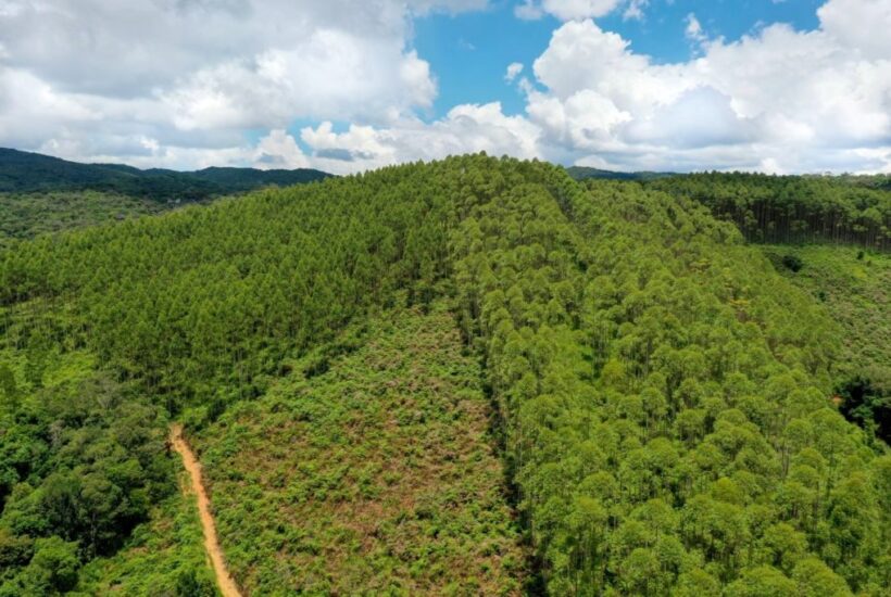 FAZENDA FAZENDA COM 110 HA EM IBIUNA, INTERIOR DE SÃO PAULO 0019