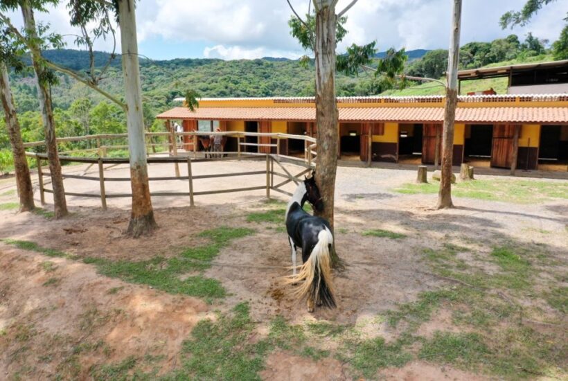 FAZENDA FAZENDA COM 110 HA EM IBIUNA, INTERIOR DE SÃO PAULO 0010