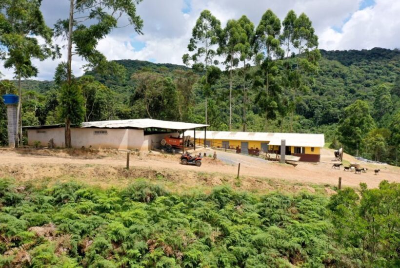 FAZENDA FAZENDA COM 110 HA EM IBIUNA, INTERIOR DE SÃO PAULO 0011