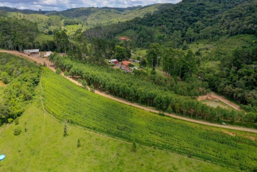 FAZENDA FAZENDA COM 110 HA EM IBIUNA, INTERIOR DE SÃO PAULO 0014